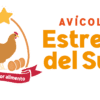 ESTRELLA DEL SUR